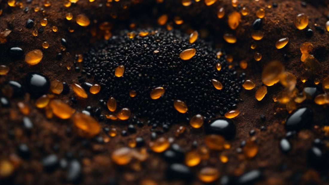 Pregnancy and Black Seed Oil: What You Need to Know