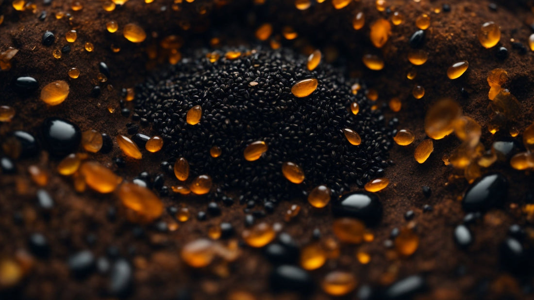 Pregnancy and Black Seed Oil: What You Need to Know - Volume