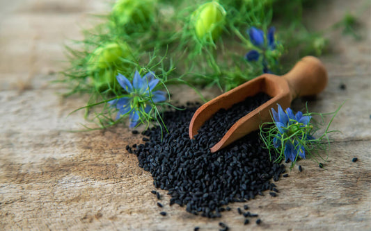 Benefit Of Black Seed Oil Capsules